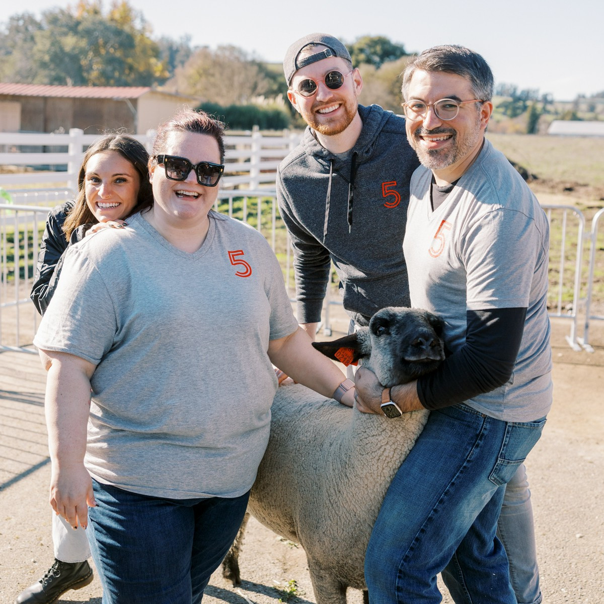 Teammates are participating in Studio 5's infamous immersive learning experience - Sheep Sorting.