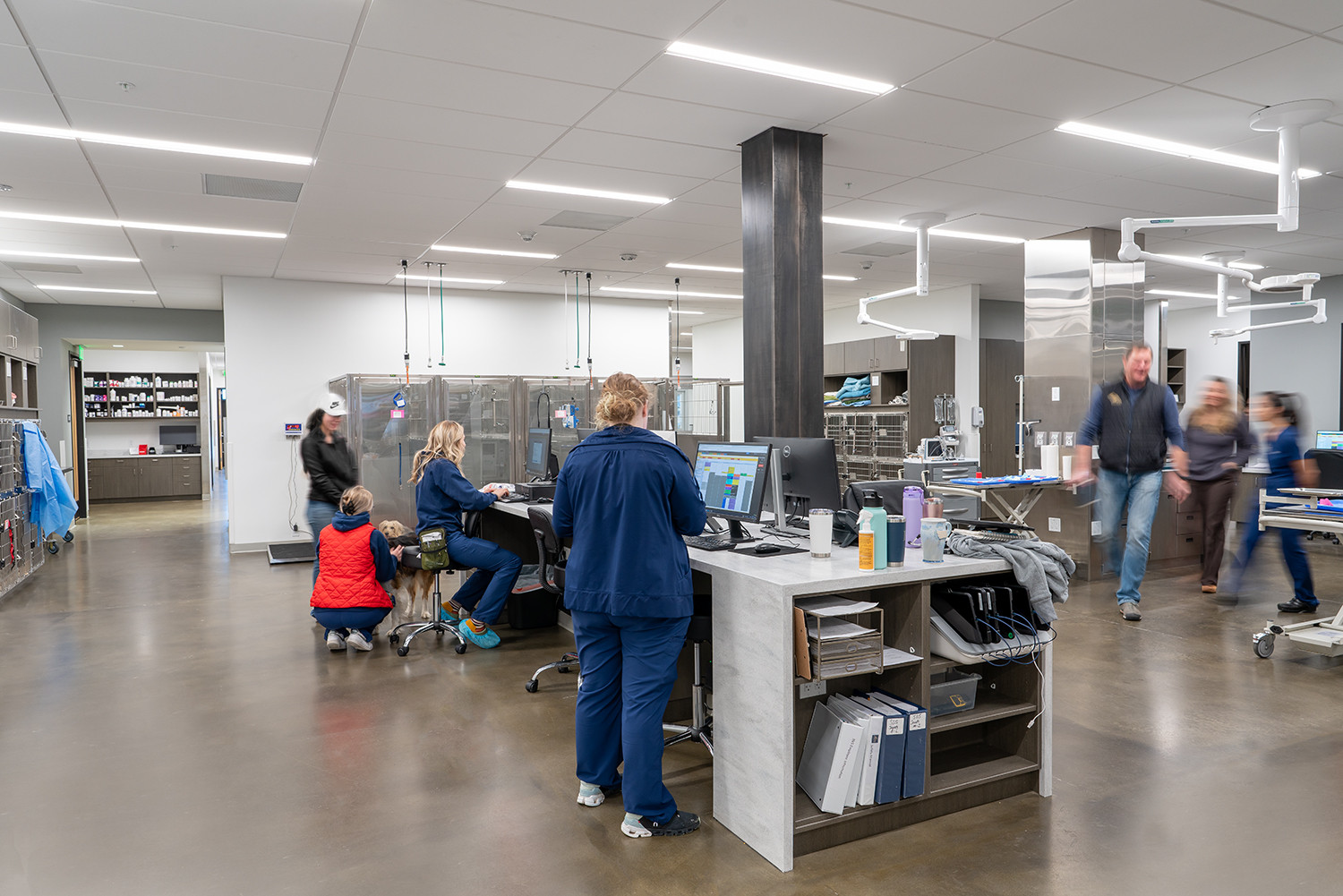 Our main treatment/ICU area.