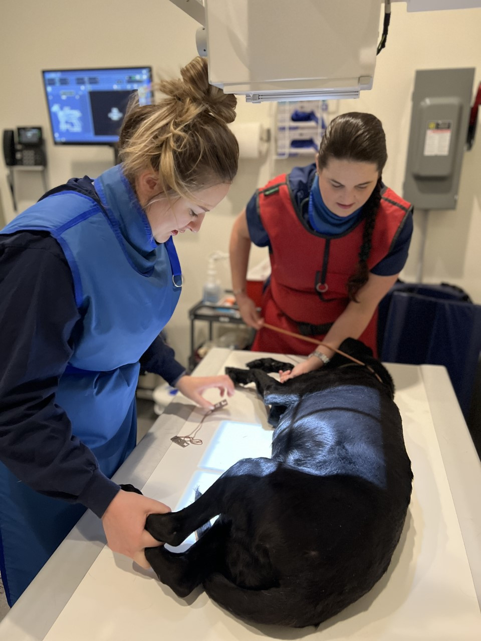 Technicians capturing some radiographs.