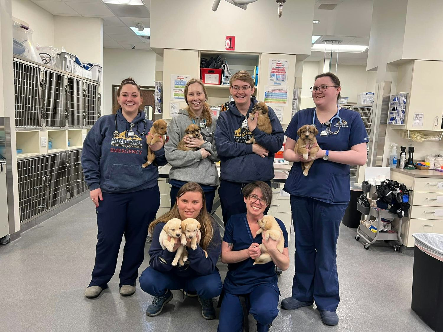 Our technicians with some super cute puppies!