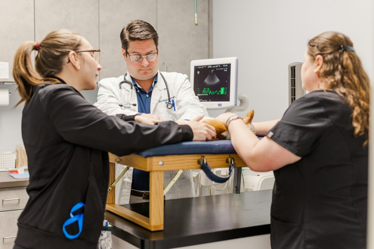 Dr. Paul Sorrentino performing an ultrasound. 