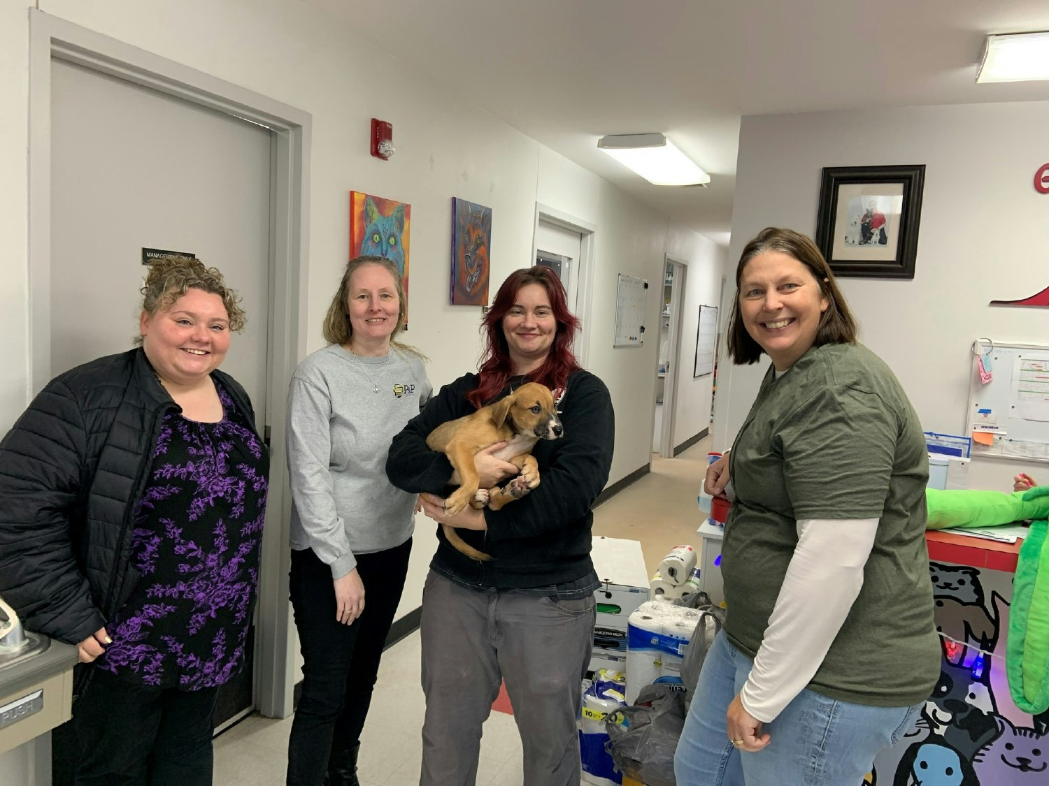 P&P Industries proudly donates to a local animal shelter to support their mission of caring for animals.
