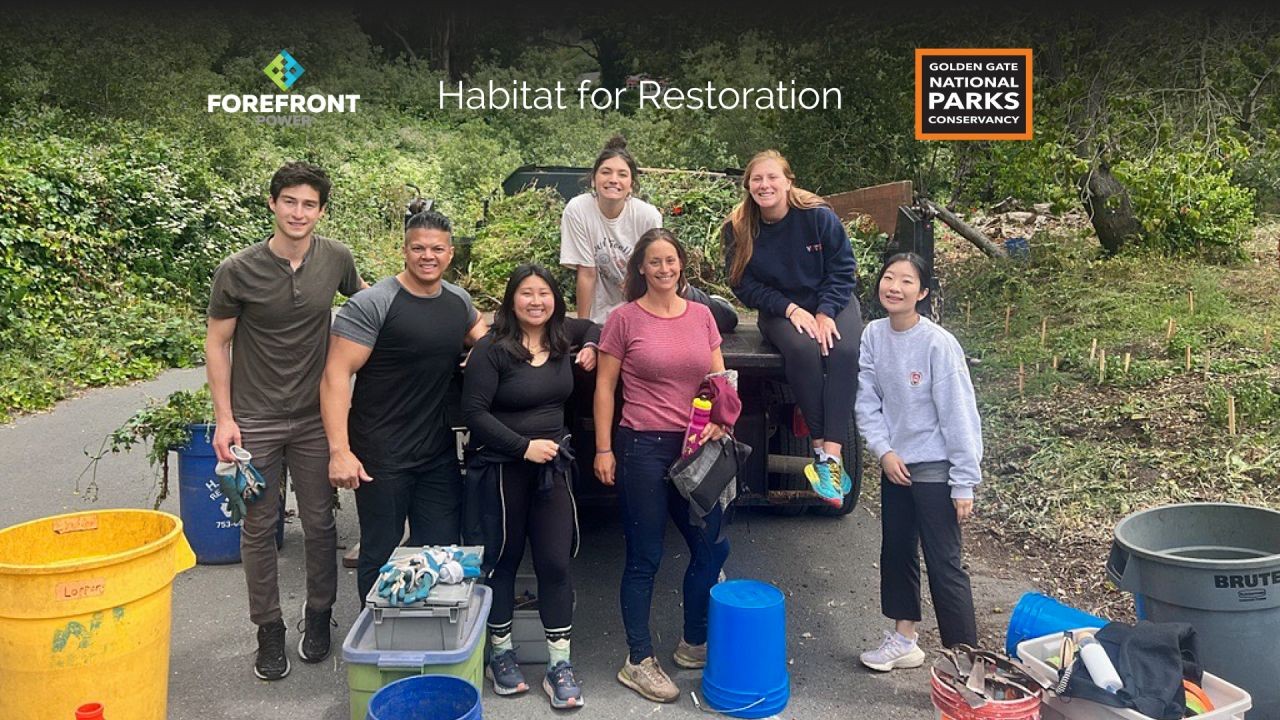 Members of our team volunteering with Habitat for Restoration in the Bay Area at the Presidio Native Plant Nursery. 