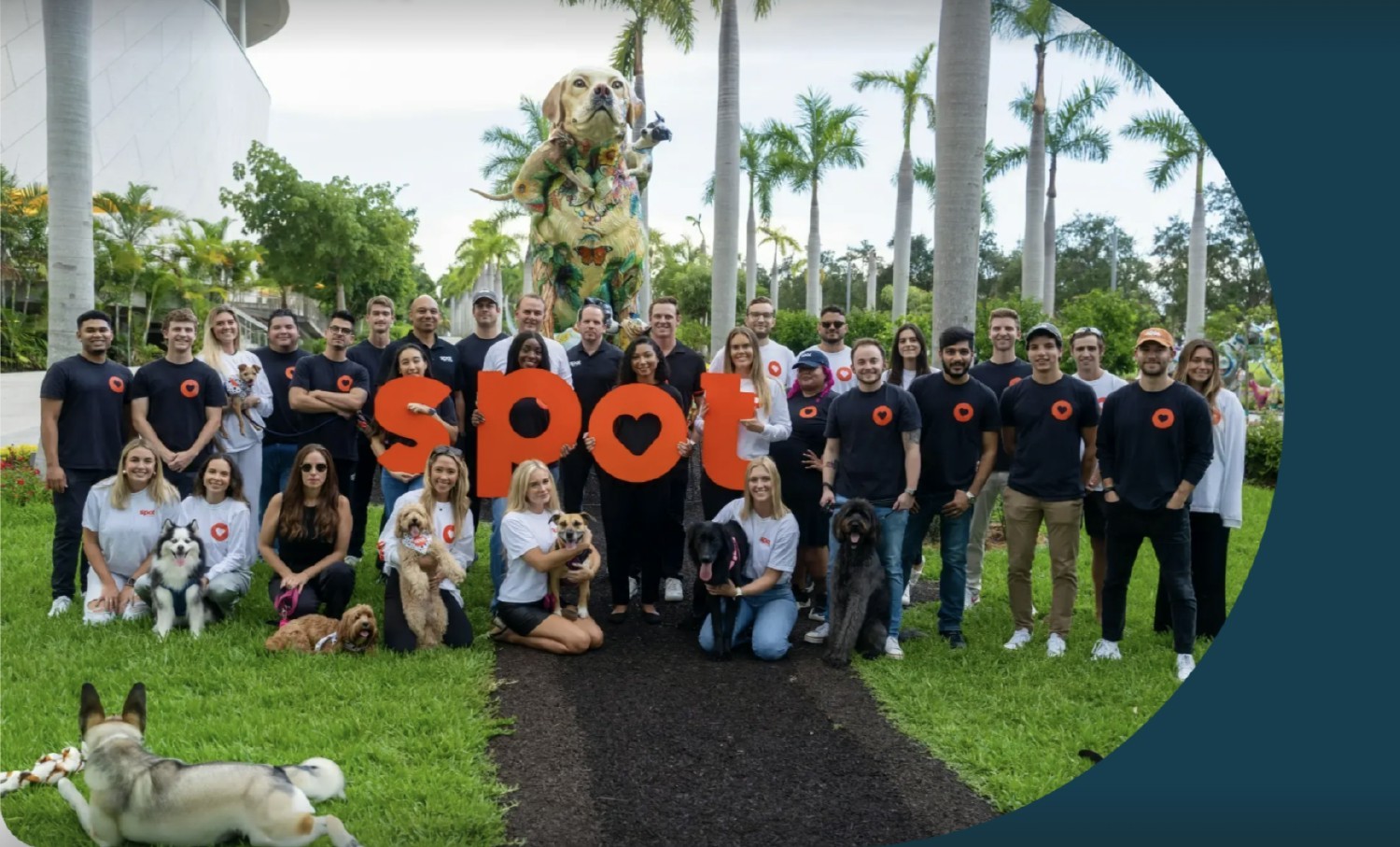 Spot Pet Insurance team photo