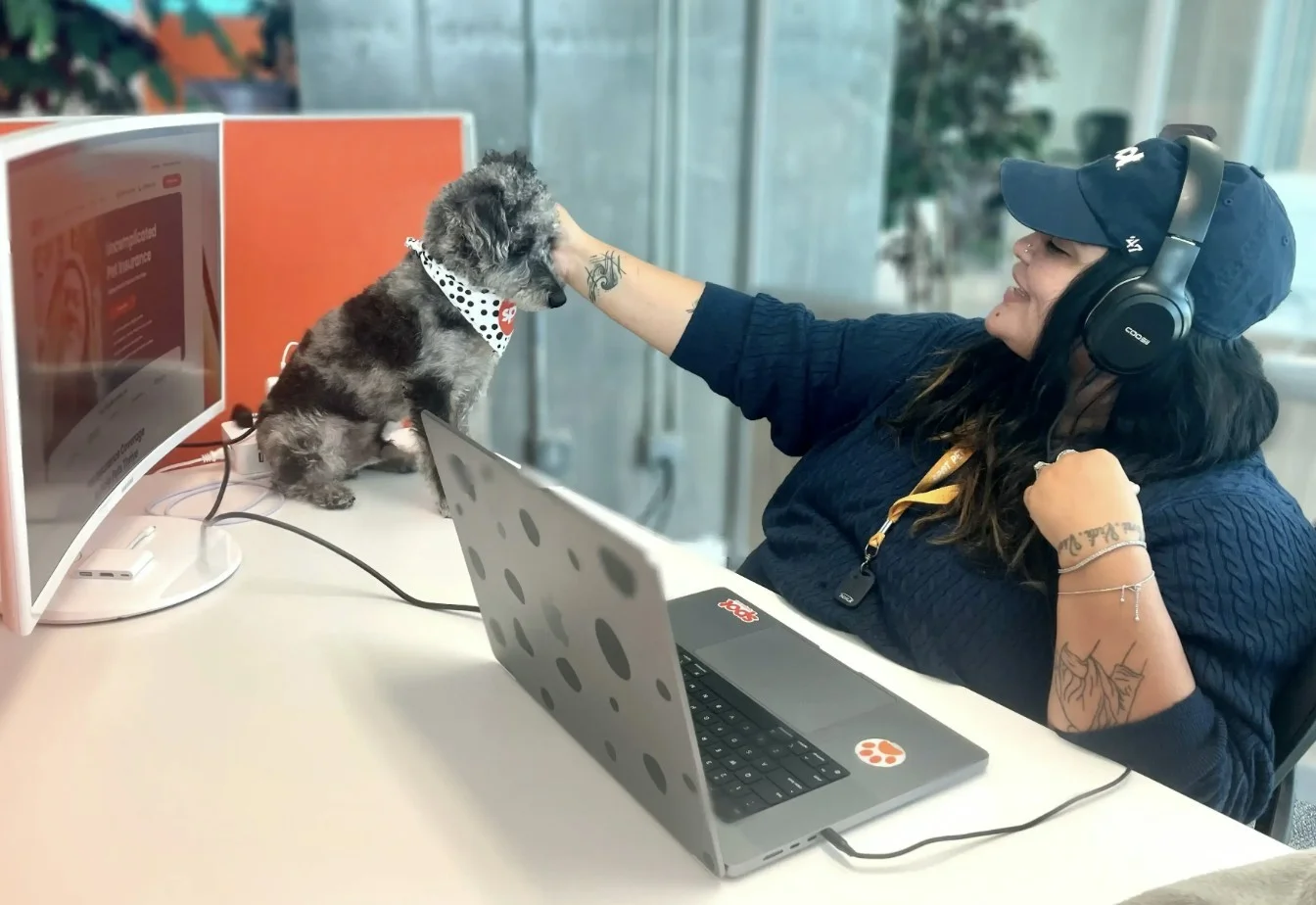 Working at Spot Pet Insurance Great Place To Work®