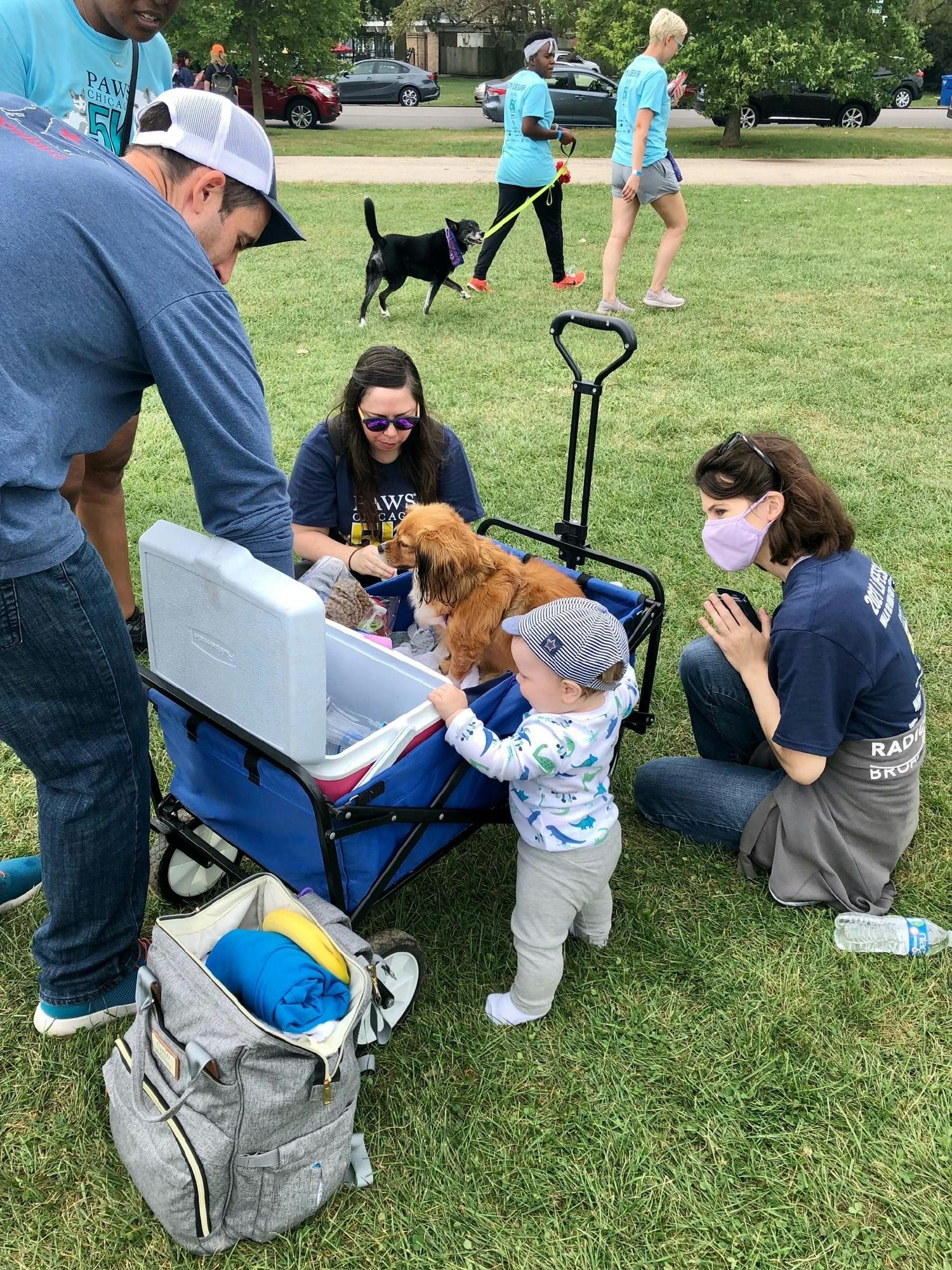 Our team's yearly participation in the Chicago Paws Walk