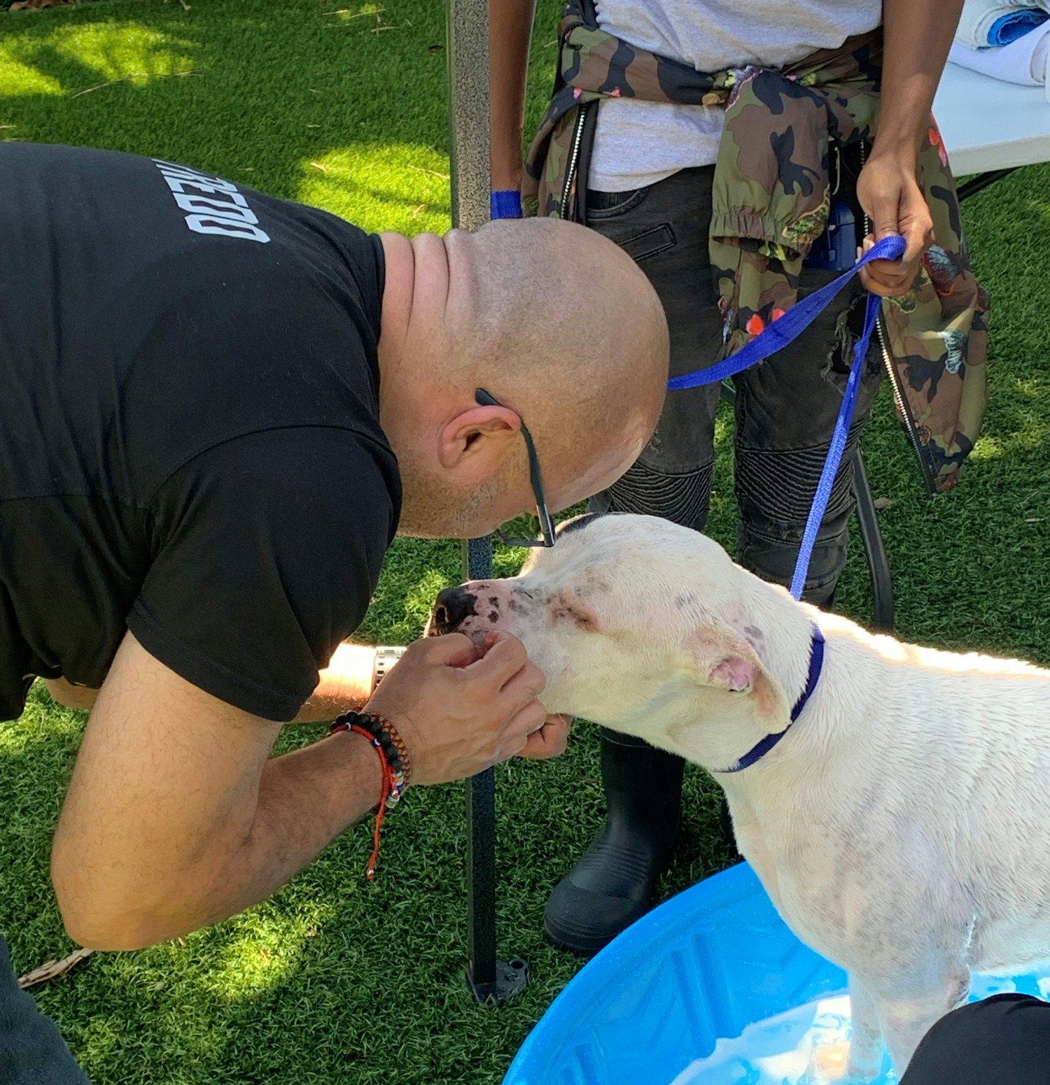 Human Society Volunteer Day -Baths = LOVE!