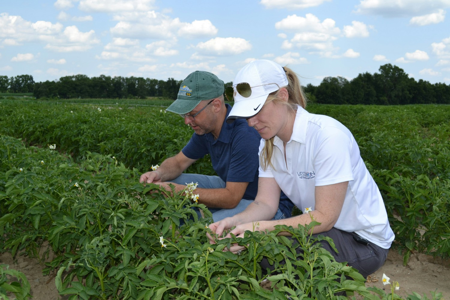 The Field Development team visiting a field trial site.