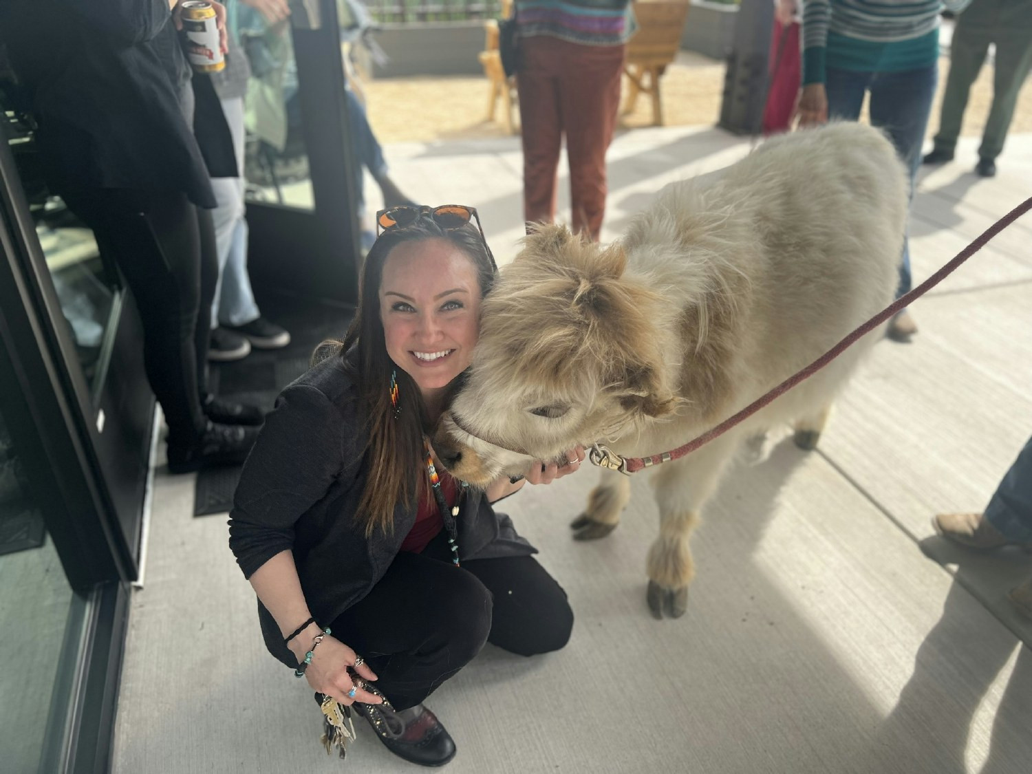 Revel Rancharrah celebrated National Farm Animal Day with a special guest, Sven, the Mini Highlander therapy cow.