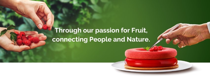 Our ethos