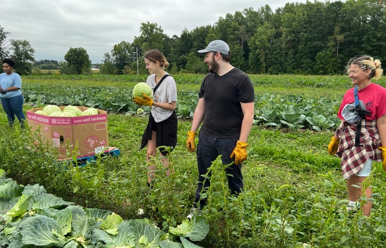 Our Digistream Detroit office volunteering as farmhands for food for a non-profit organization