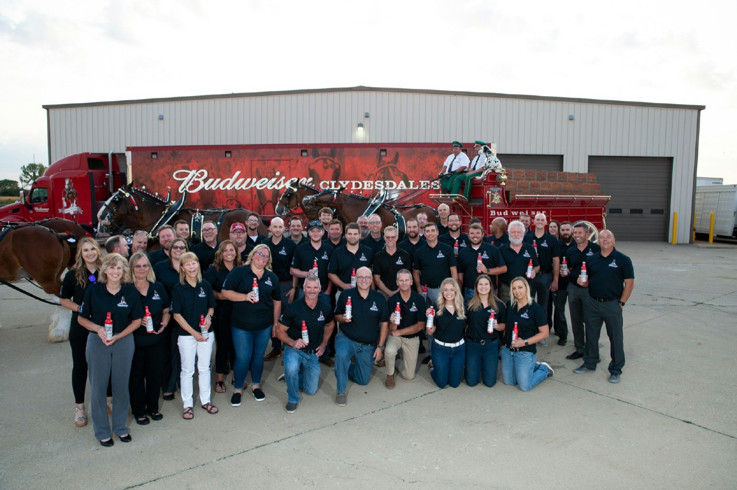 Recently G&M celebrated it's 75th anniversary, which included a visit from the famous Anheuser Busch Clydesdales. 