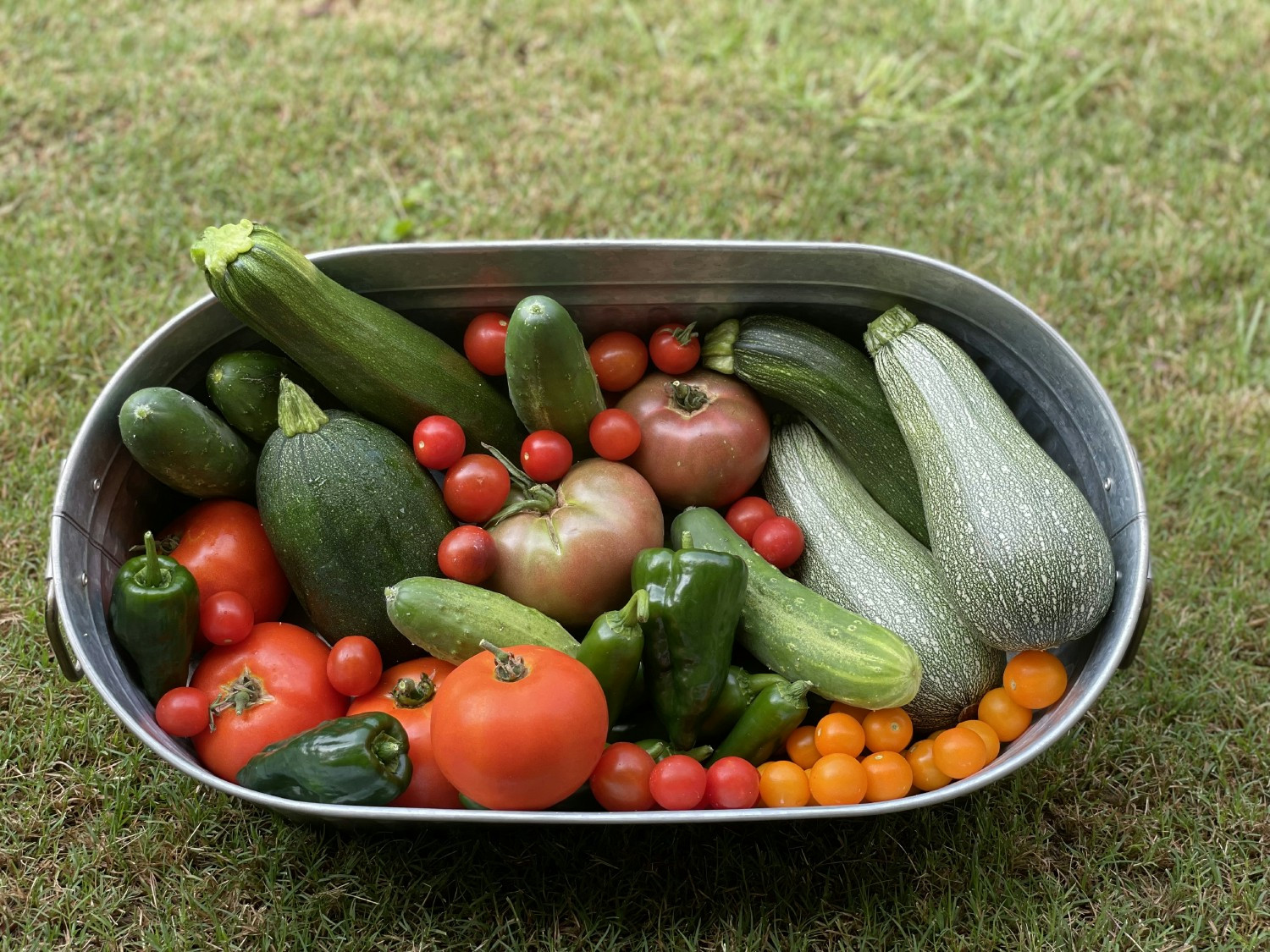 Fresh vegetables from the garden.
