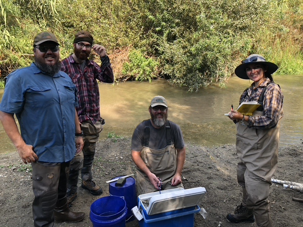 Aspen Biologists conducting a fish survey together.