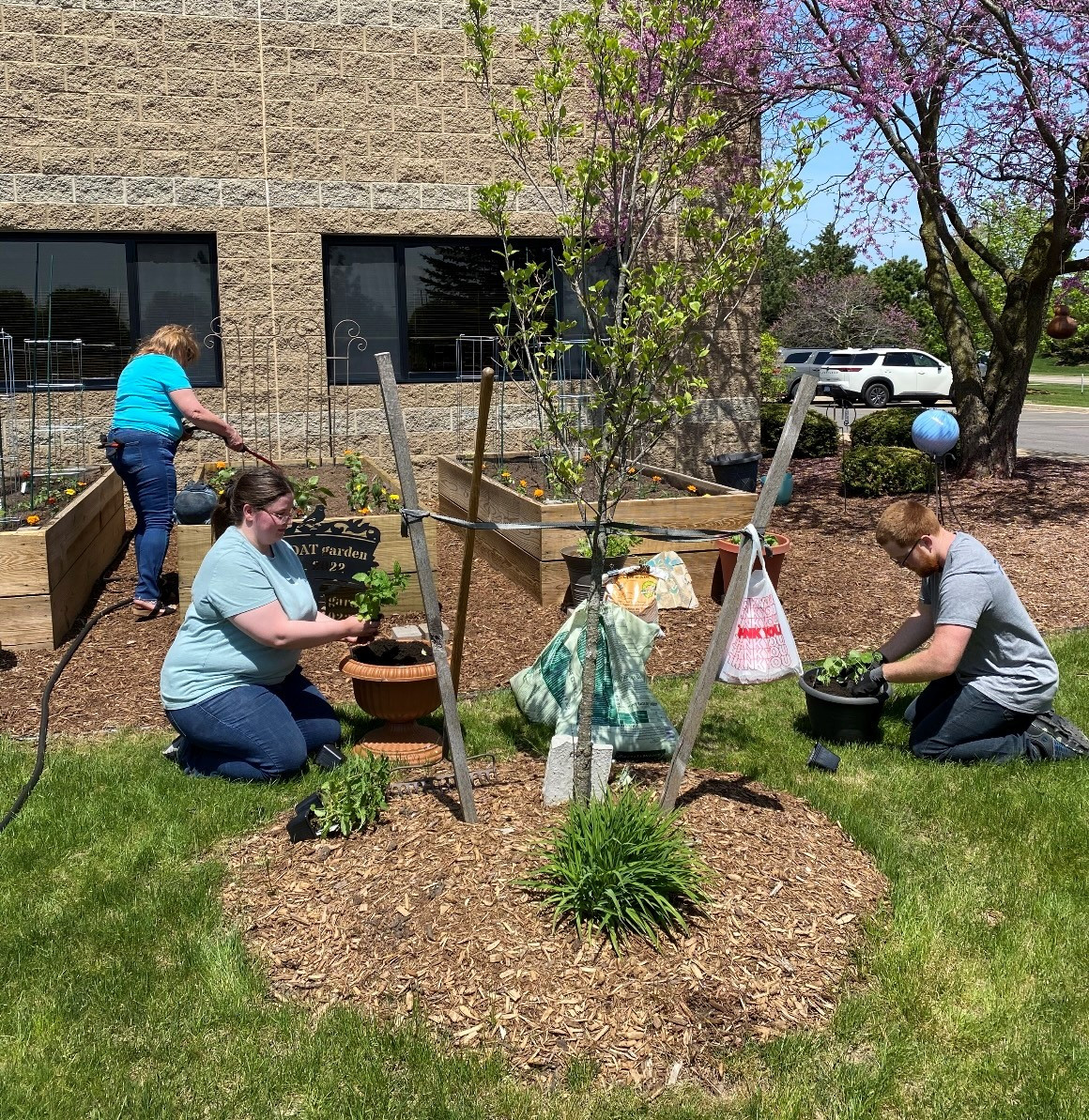 Teamwork in full bloom! Condat's employee garden brings us together beyond the office.