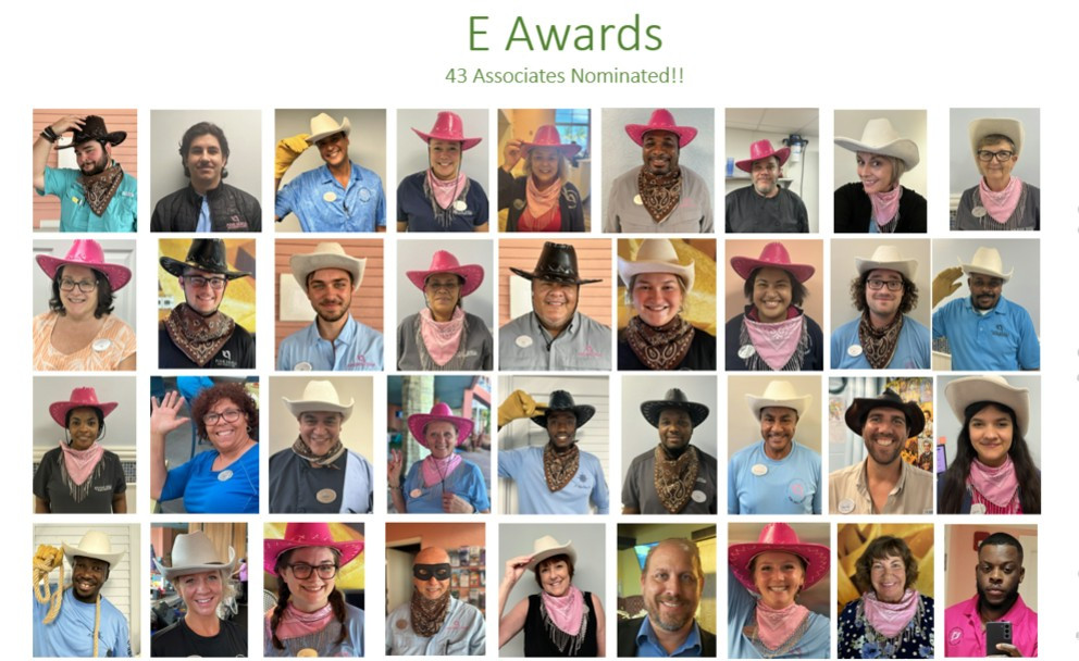 The Pink Shell had 43 nominees for the annual EAward ceremony, the theme was 
