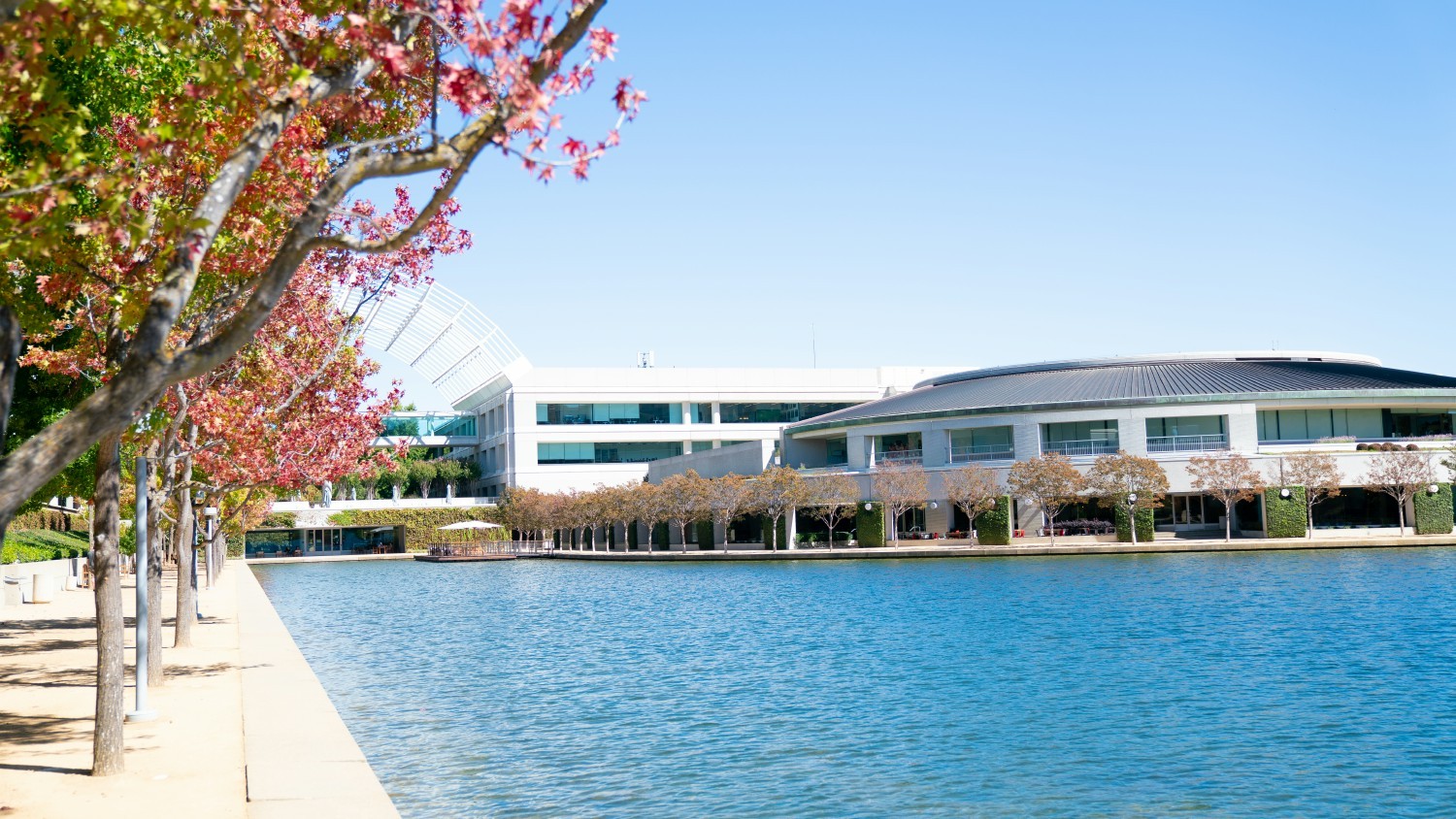Lumin Digital is headquartered in San Ramon, CA. Employees enjoy outdoor seating, a walking trail, and transit nearby.
