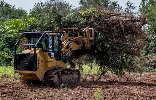 Clearing And Erosion Controls