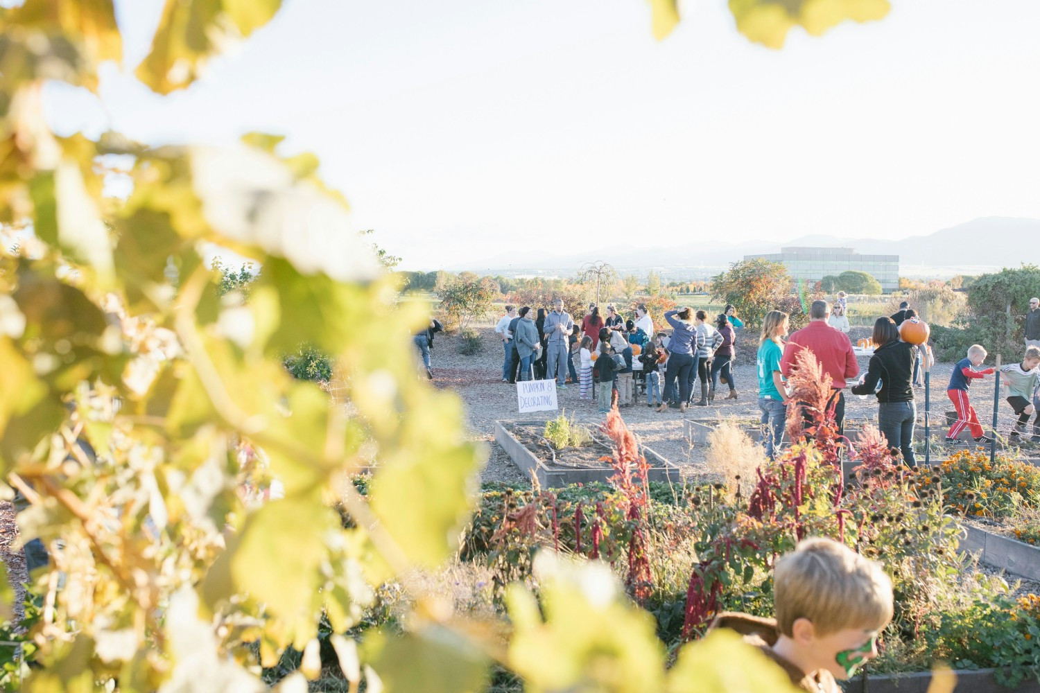 Growing together—families, teachers, and the community celebrate healthy food, hands-on learning, and connection.