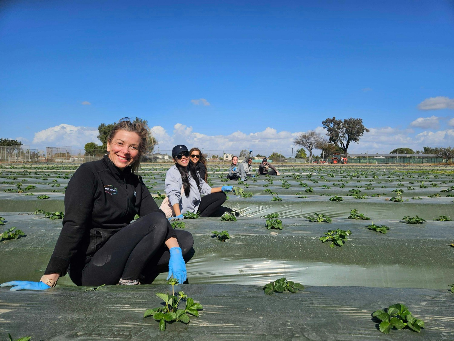 Members of the WithMe marketing team volunteering at The Giving Farm during an in-person summit in California. 