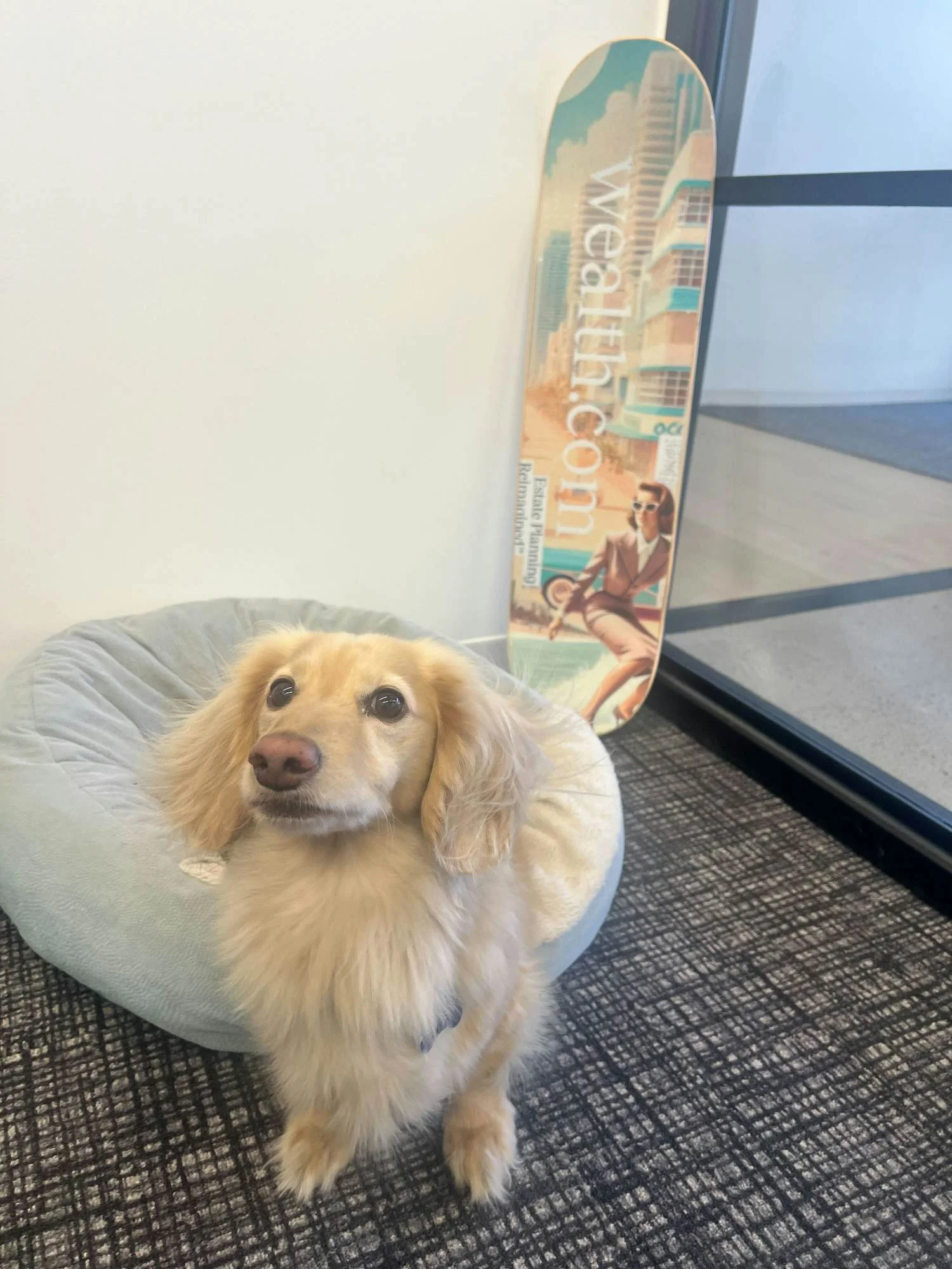 From cold brew on tap and an onsite yoga garden and gym, we’ve created a space where wellness, creativity, and connection thrive, including Bring Your Pet to Work Day!