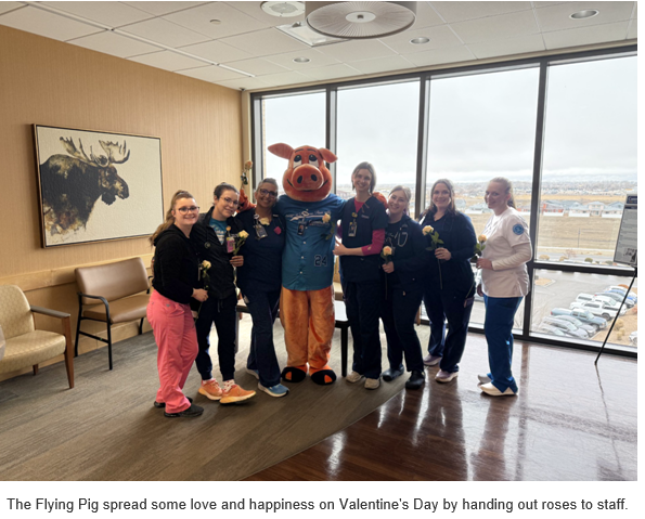 FLYP, our Mascot handing out roses to staff on Valentines Day