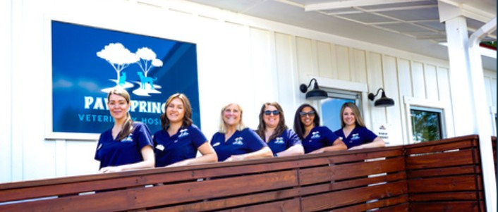Paw Springs Vet Team