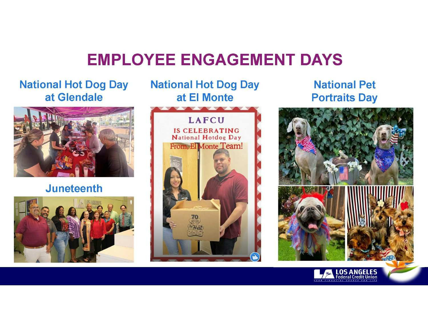 Nat'l Hot Dog Day, Juneteenth and Nat'l Pet Portrait Day