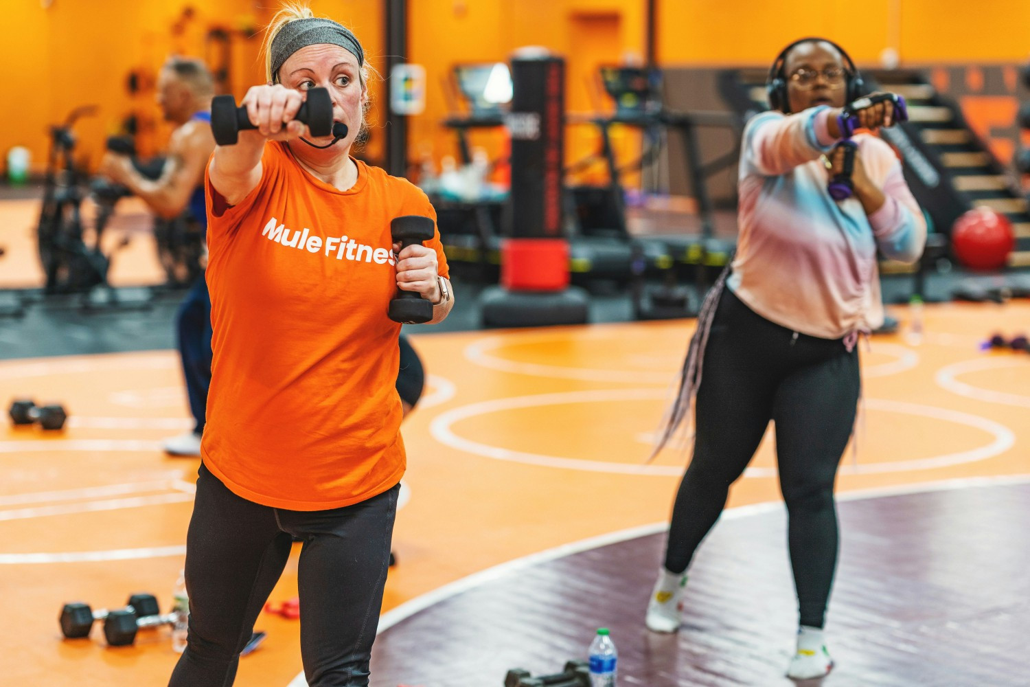 Team members working out at Mule Fitness.