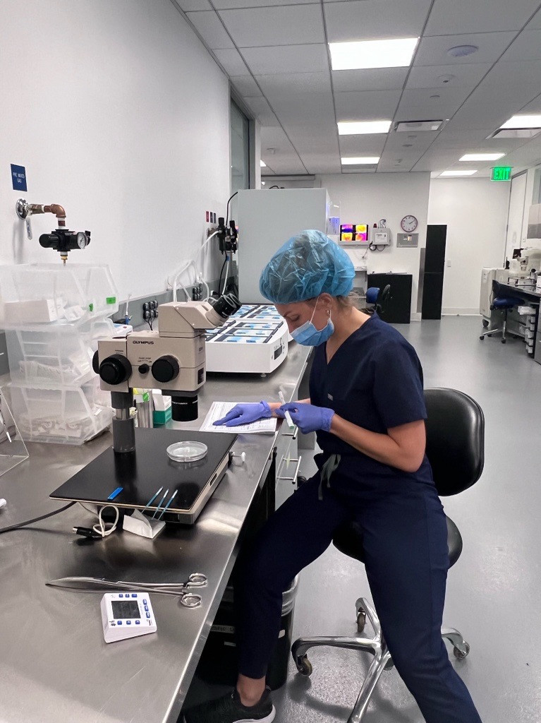 Lab hard at work