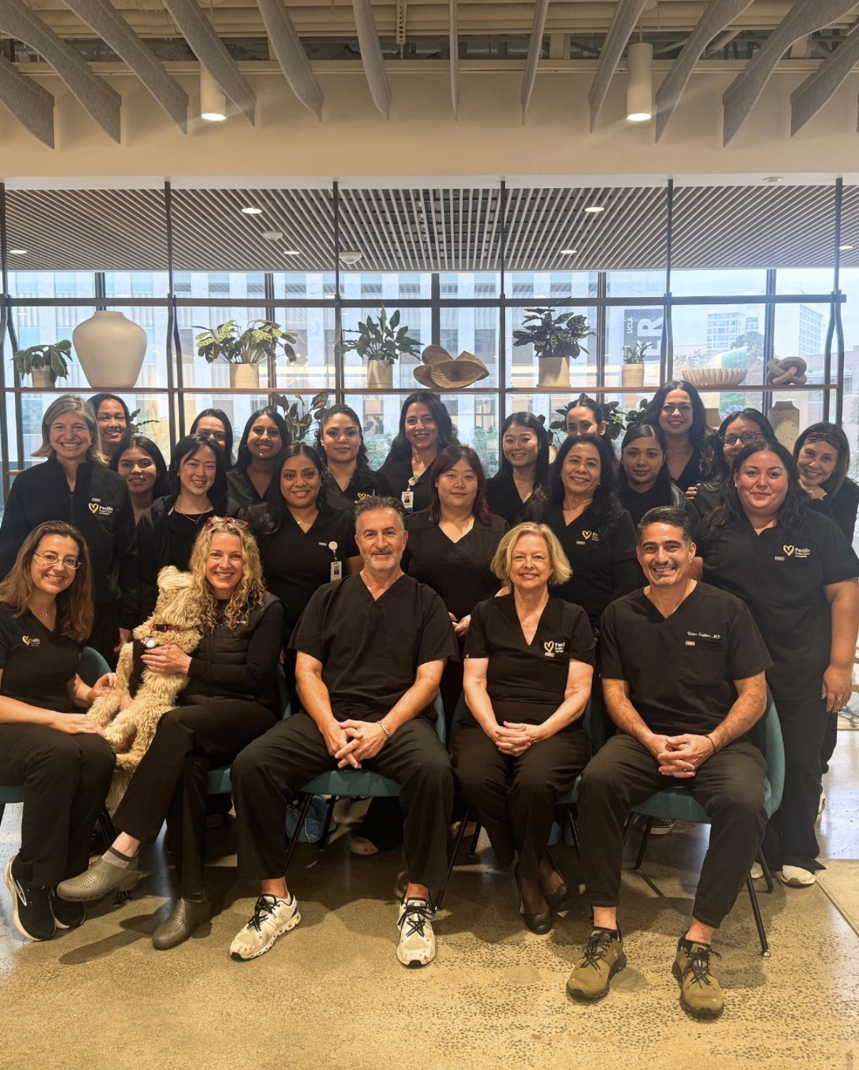 Meet the clinic team, and Emma, our certified therapy dog!