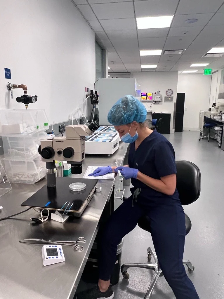 Lab hard at work