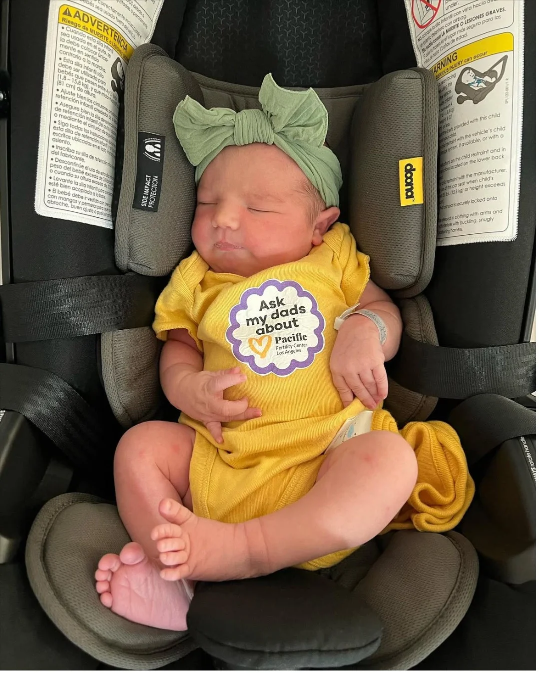 Adorable surrogate Baby
