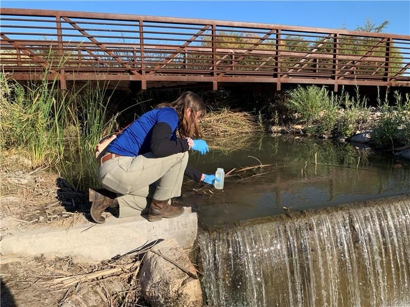 Celebrating World Water Day with a little water testing