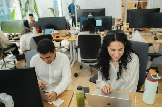 Team working session.