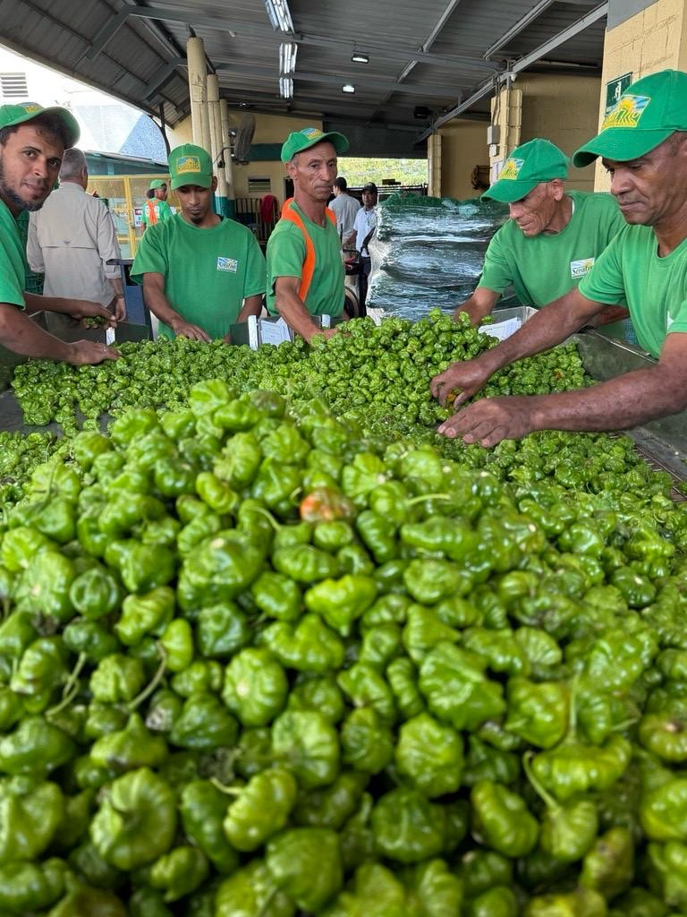 Quality starts with people. Our team works hands-on every day to deliver results we stand behind.