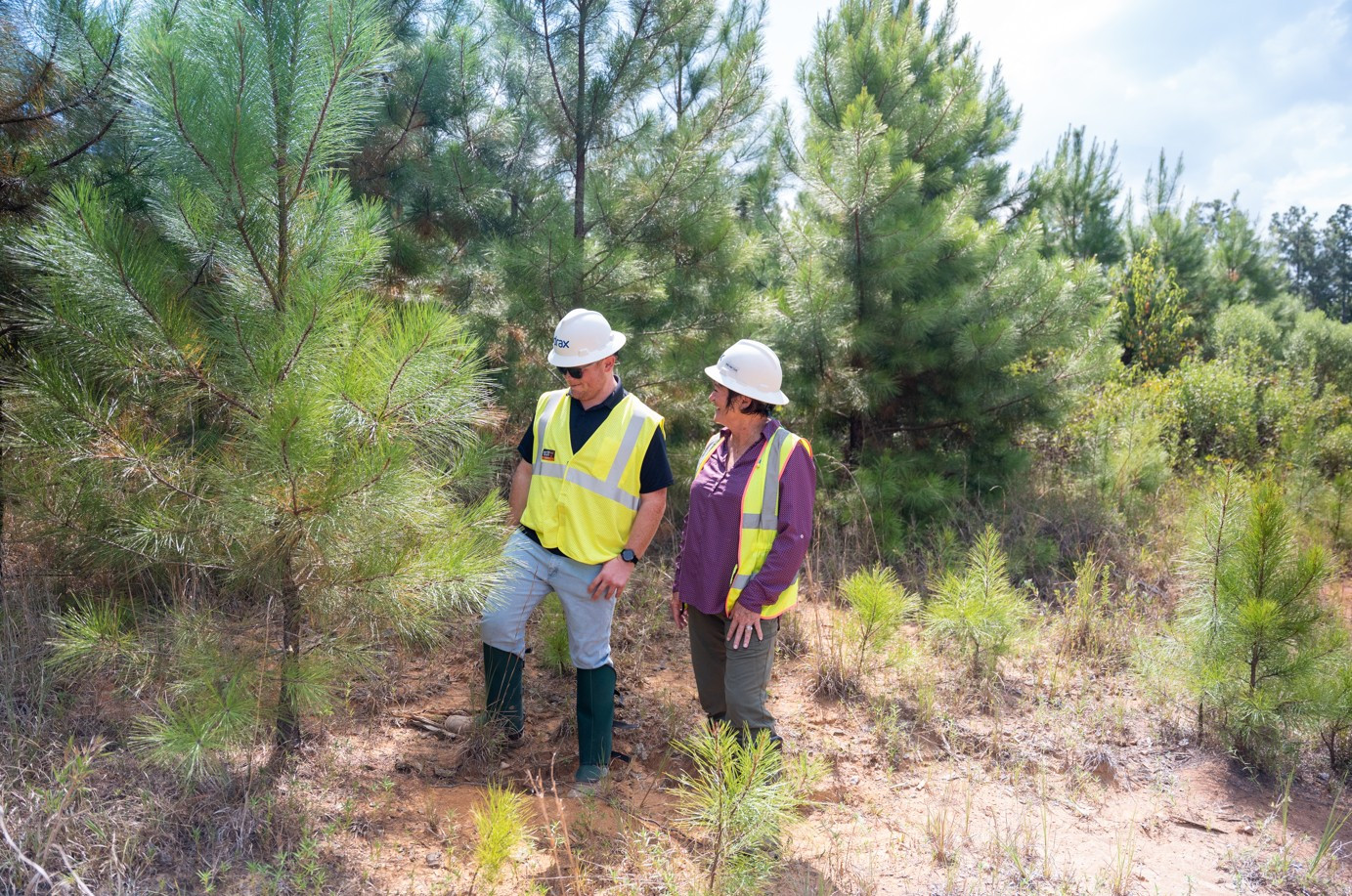 Our foresters ensure we have the correct mix of sustainable fiber to create renewable electricity for our customers.