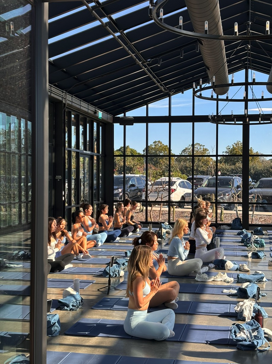 Zenwise Team and Community Event