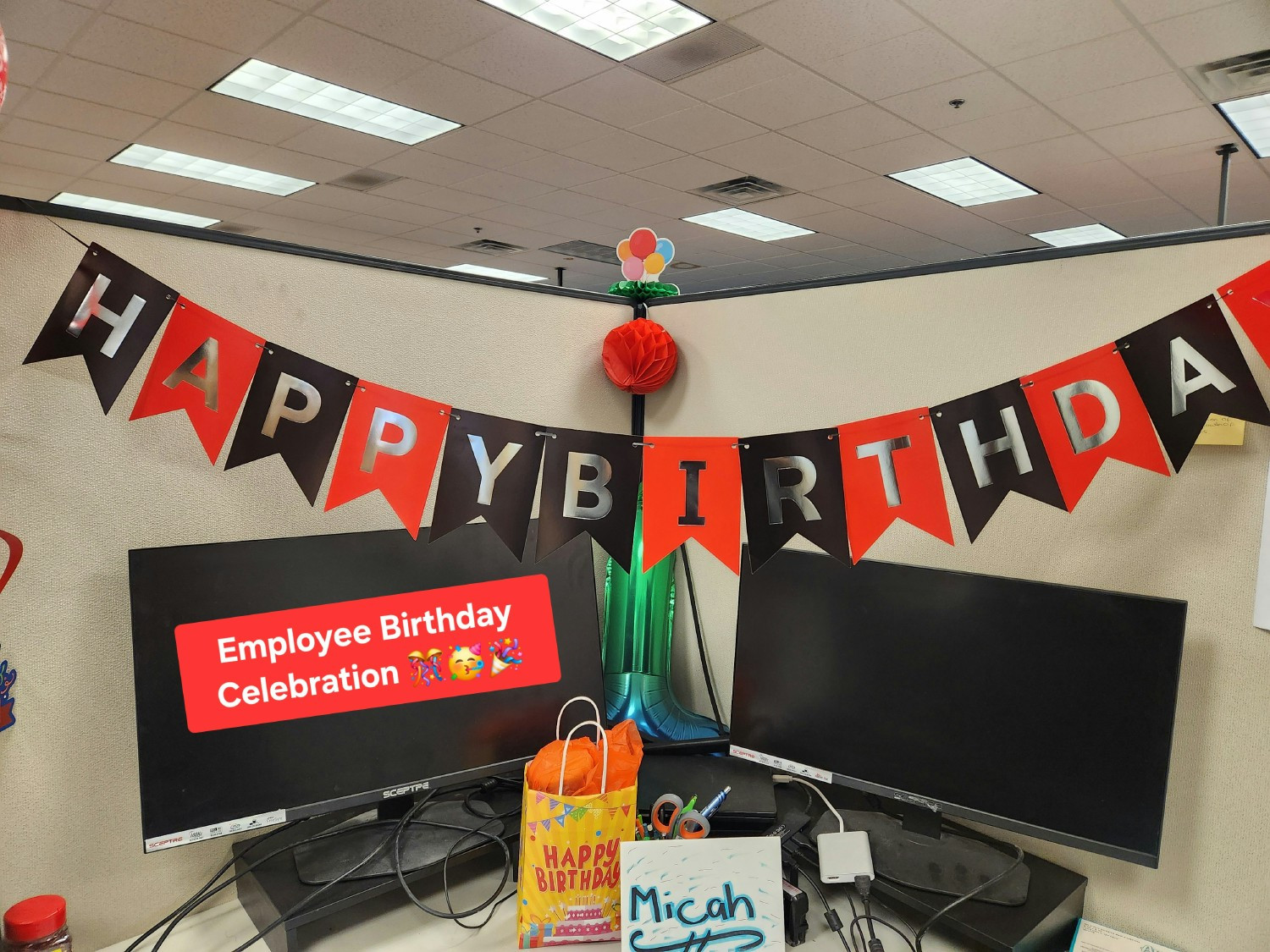 NutraSky Employee Birthday Celebration