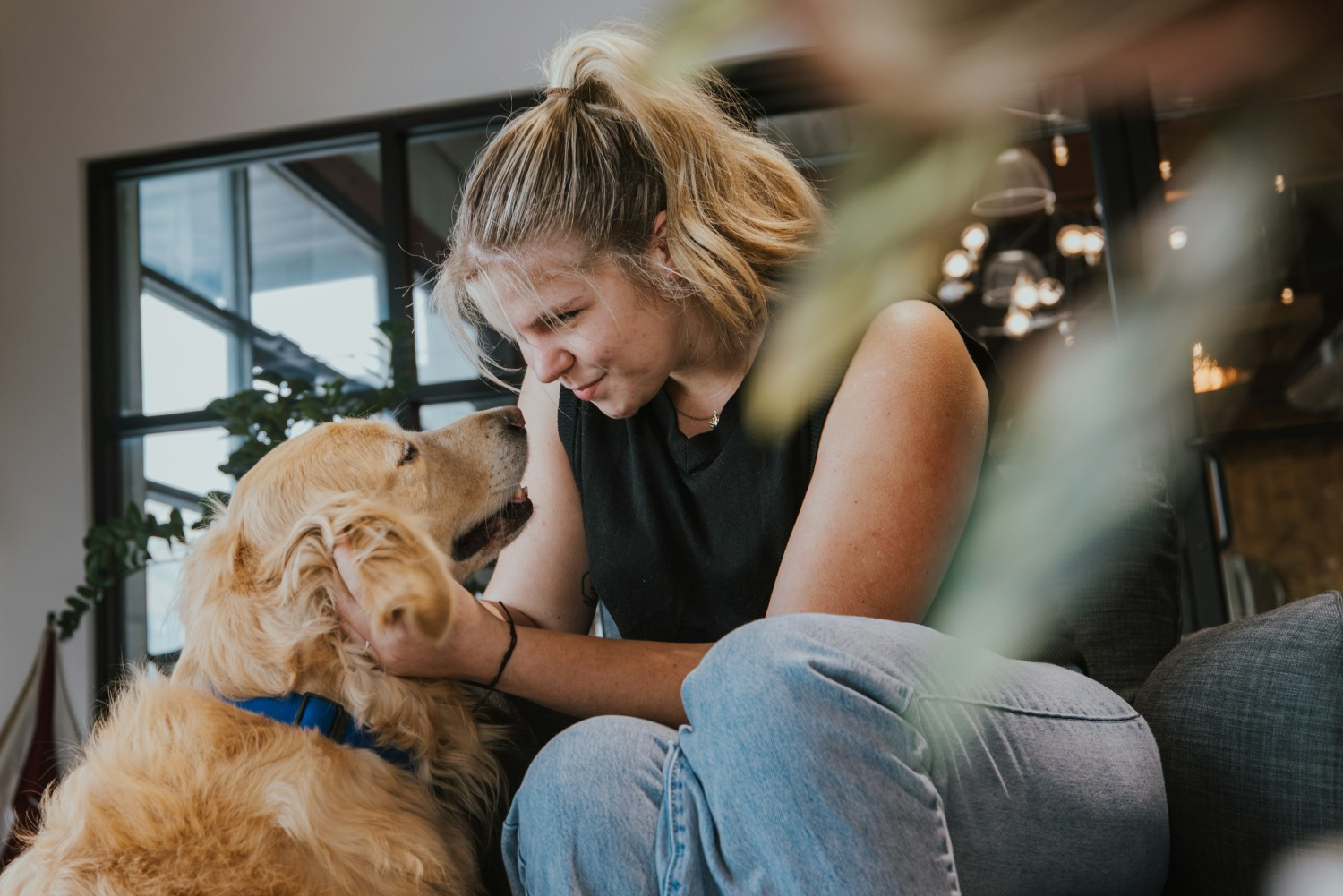 Sam, our in-office golden retriever, is always around. Zoom meeting? He's in the background or snoring under a table. 