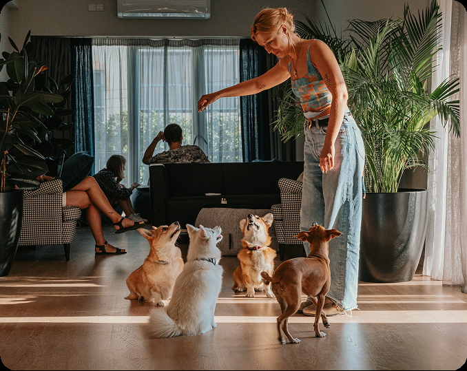 Sumsub Offices